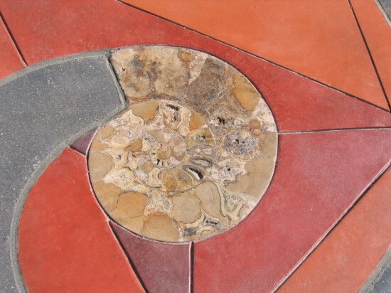 Detail of paving at center of plaza.